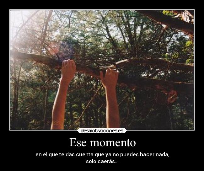 carteles sarita desmotivaciones