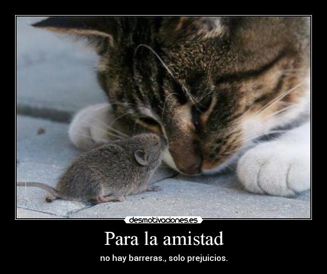 Para la amistad -