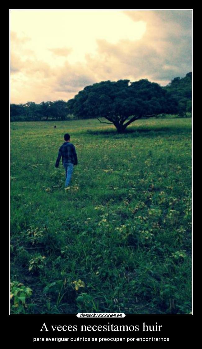 A veces necesitamos huir - 