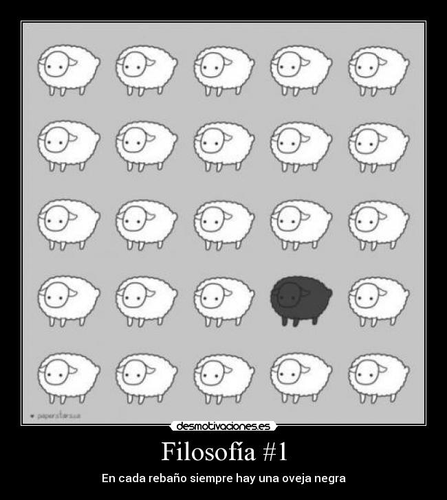 Filosofía #1 - En cada rebaño siempre hay una oveja negra