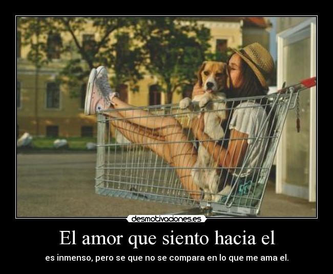 El amor que siento hacia el -