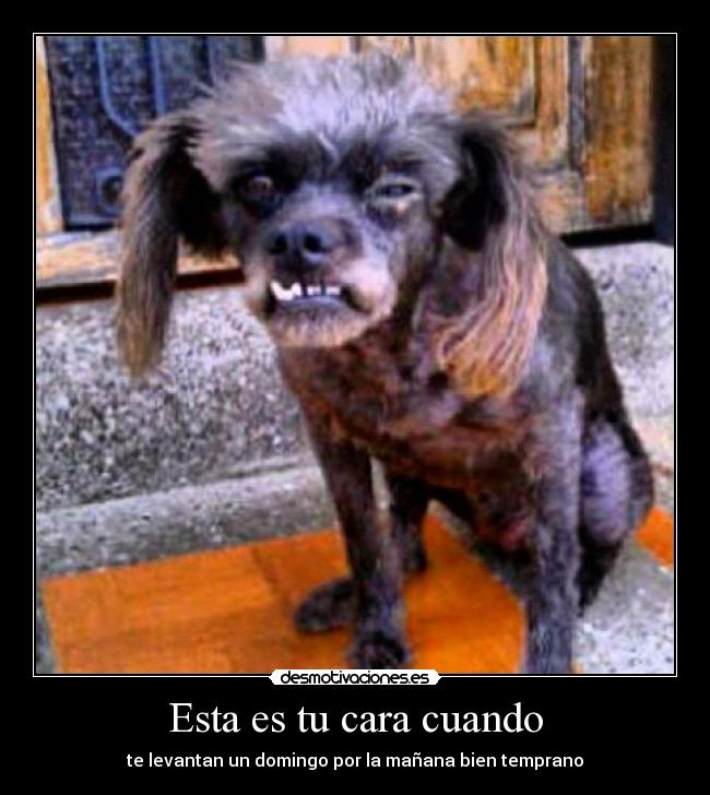 Esta es tu cara cuando -