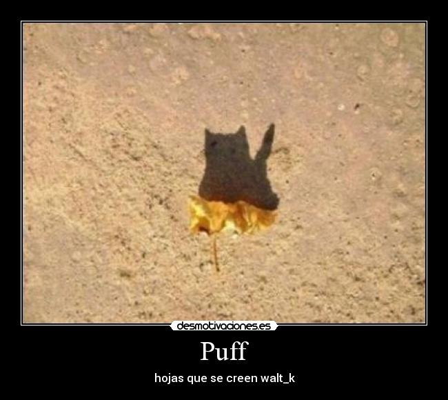 Puff -
