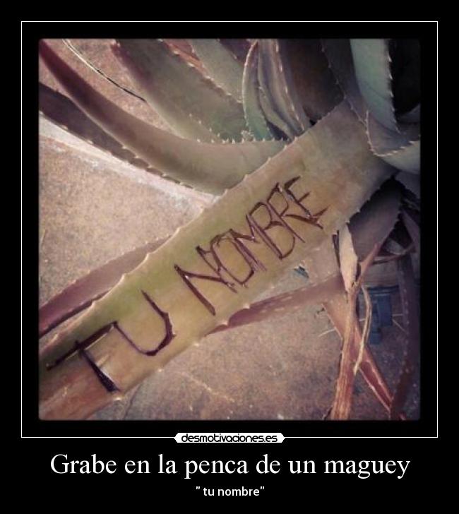 carteles grabe penca maguey desmotivaciones