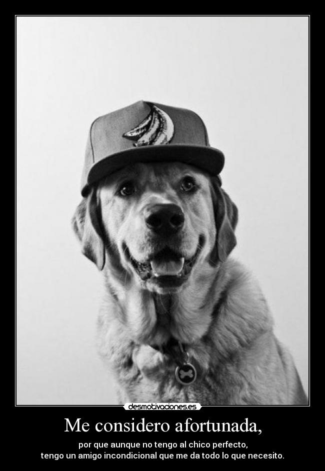 Me considero afortunada, - por que aunque no tengo al chico perfecto,
tengo un amigo incondicional que me da todo lo que necesito.