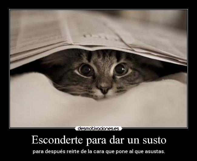 carteles papapitufo pitupac awesomenawe cat scared desmotivaciones