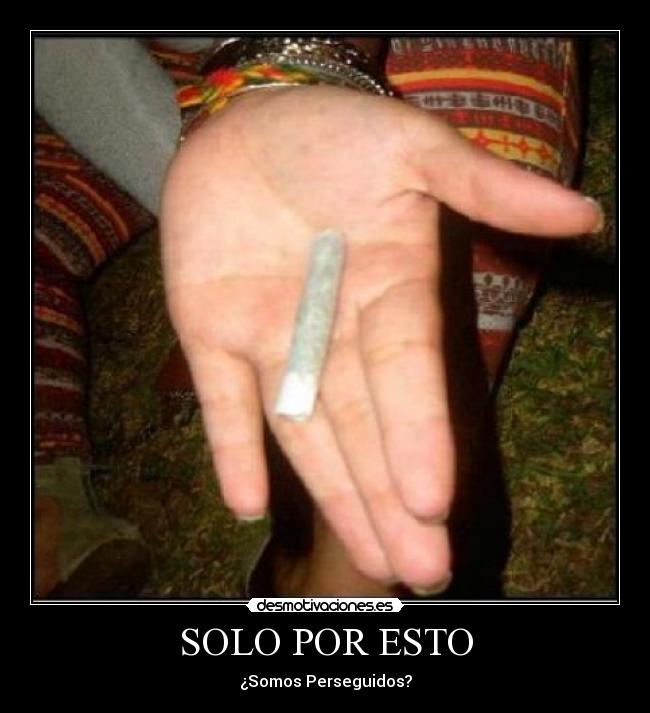 carteles meelchux desmotivaciones