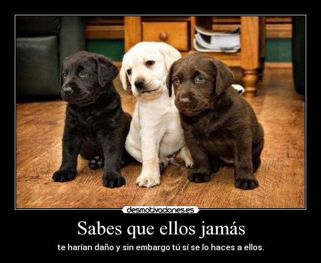 Sabes que ellos jamás - 