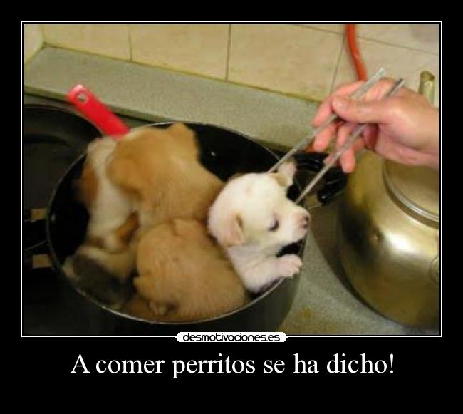 A comer perritos se ha dicho! -