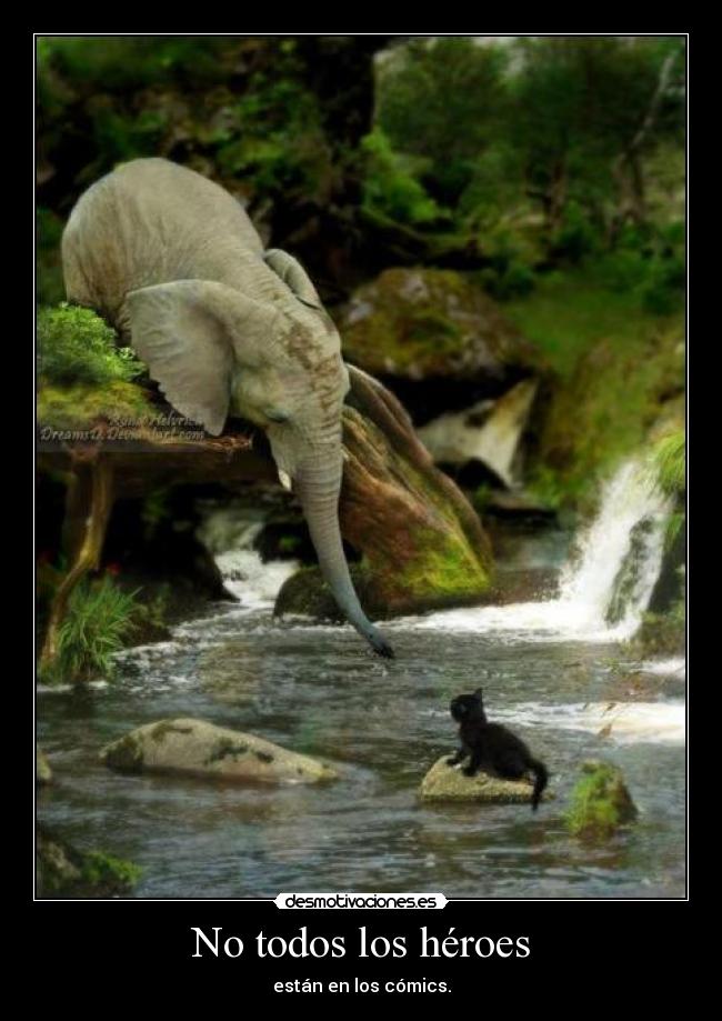 No todos los héroes -