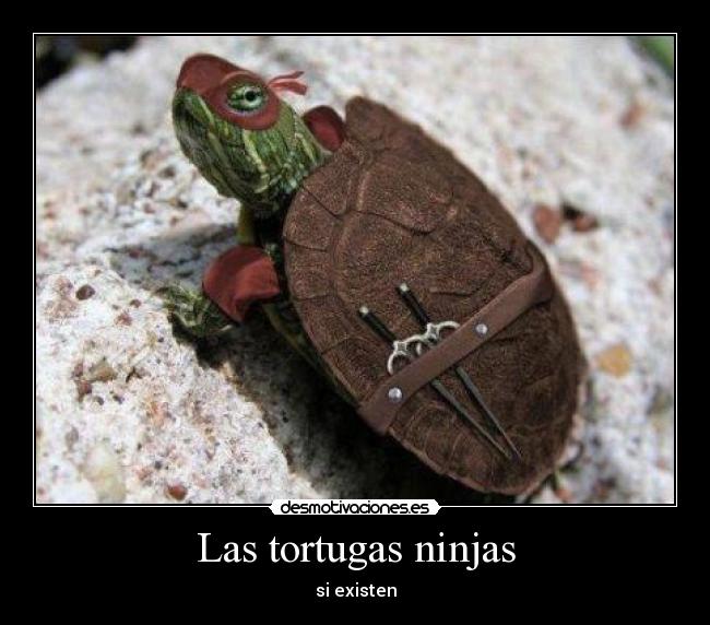 carteles verdad desmotivaciones