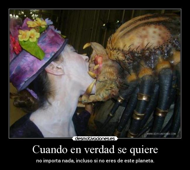 Cuando en verdad se quiere - no importa nada, incluso si no eres de este planeta.