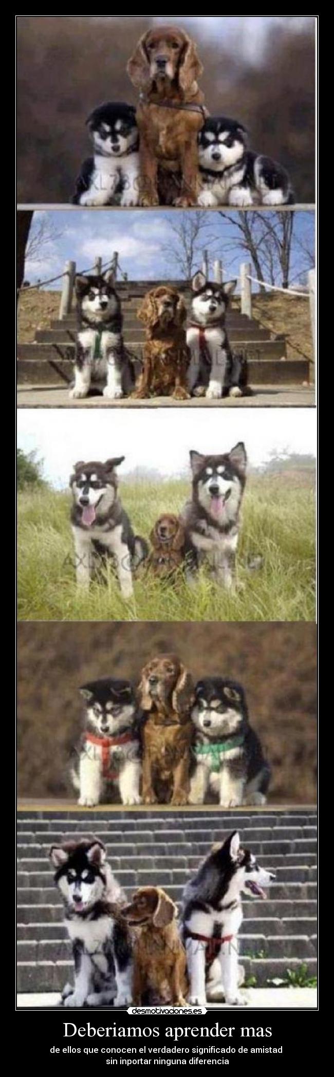 Deberiamos aprender mas -