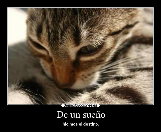 De un sueño - hicimos el destino.