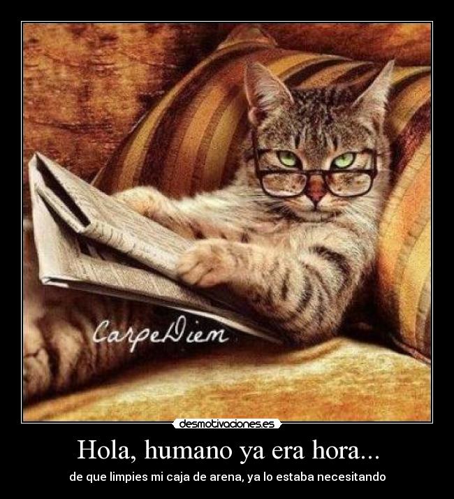 im-genes-y-carteles-de-tgtgtg-desmotivaciones