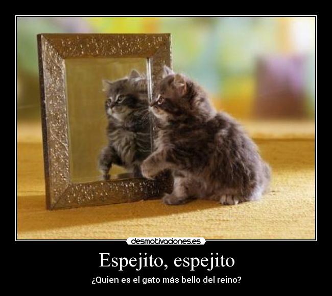 Espejito, espejito - ¿Quien es el gato más bello del reino?