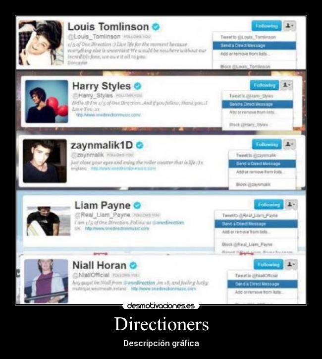 Directioners - Descripción gráfica