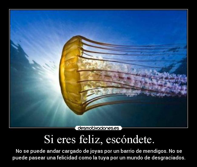 Si eres feliz, escóndete. - No se puede andar cargado de joyas por un barrio de mendigos. No se
puede pasear una felicidad como la tuya por un mundo de desgraciados.