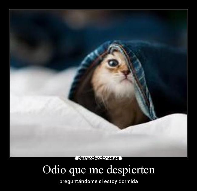 Odio que me despierten - preguntándome si estoy dormida