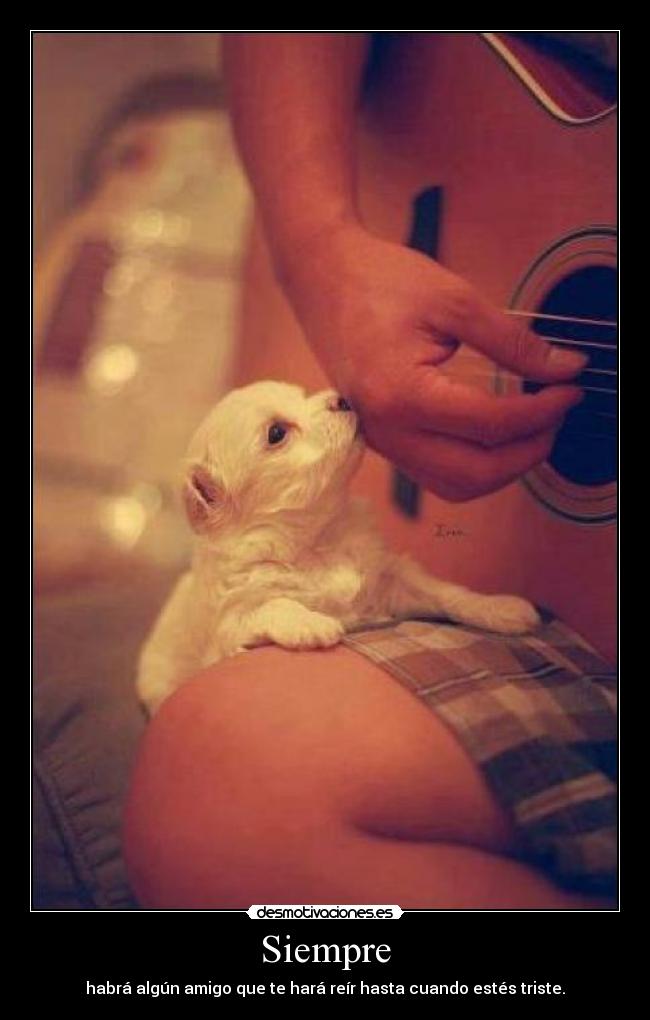 carteles marycielo desmotivaciones