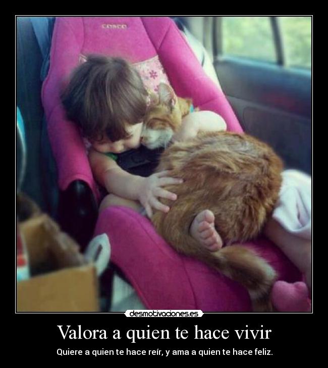 carteles valora quiere ama asdfghjklnn desmotivaciones