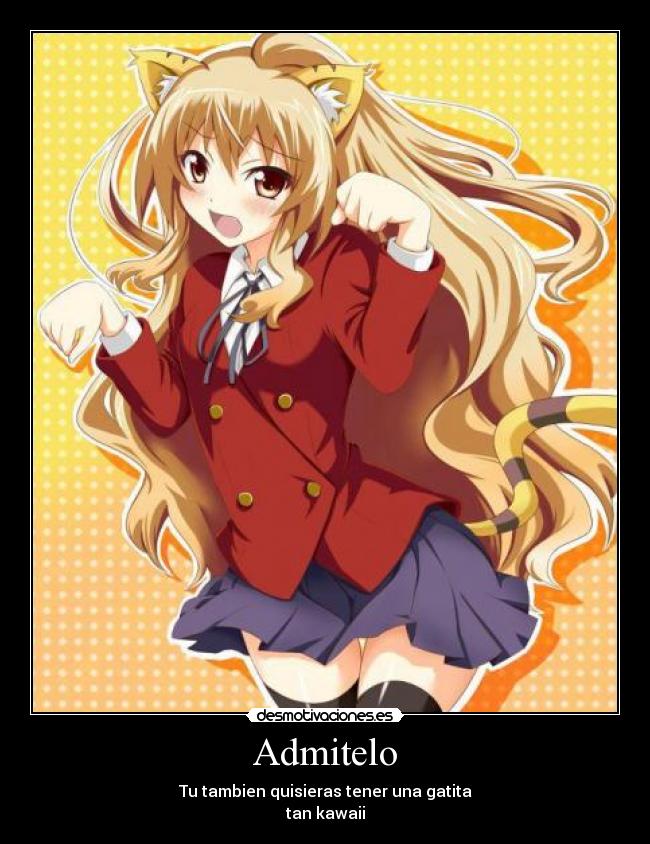 Admitelo - Tu tambien quisieras tener una gatita
tan kawaii