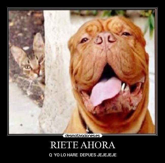 RIETE AHORA - Q  YO LO HARE  DEPUES JEJEJEJE