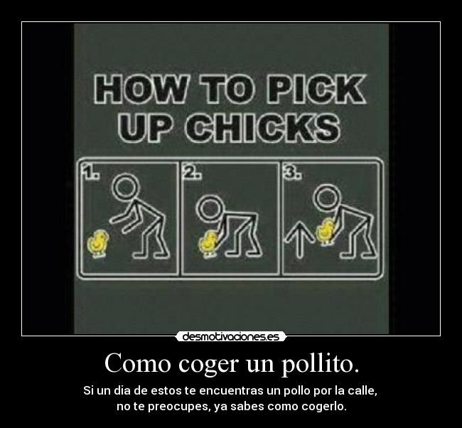 Como coger un pollito. - 