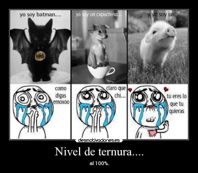 Nivel de ternura.... - al 100%.