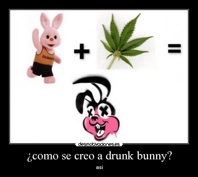 ¿como se creo a drunk bunny? -