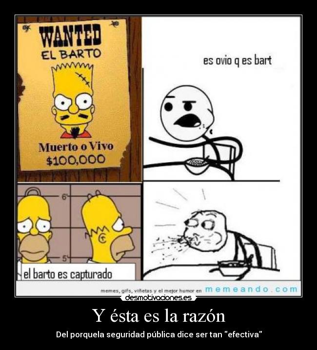 Y ésta es la razón - Del porquela seguridad pública dice ser tan efectiva