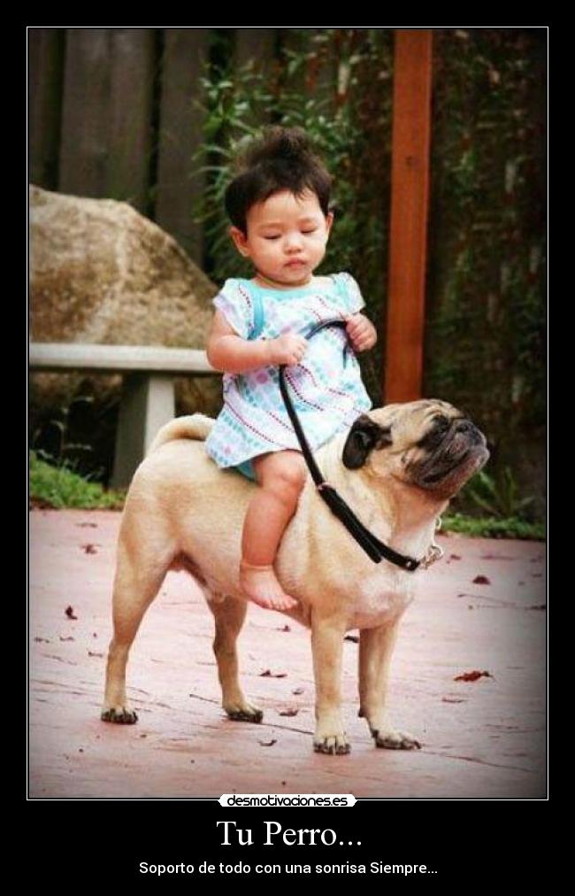 carteles yair pearzz desmotivaciones