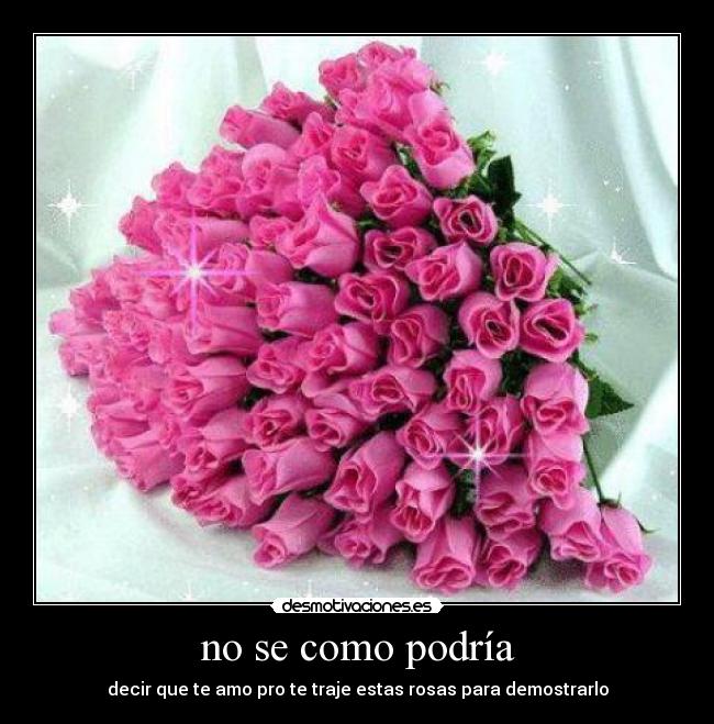no se como podría - decir que te amo pro te traje estas rosas para demostrarlo