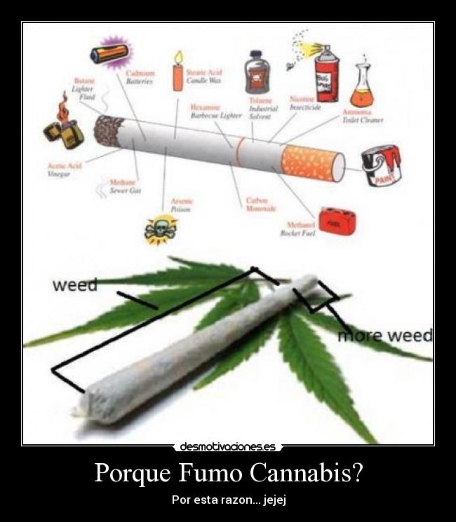Porque Fumo Cannabis? - Por esta razon... jejej