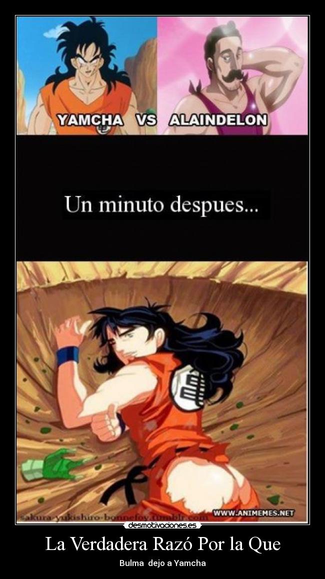La Verdadera Razó Por la Que - Bulma  dejo a Yamcha