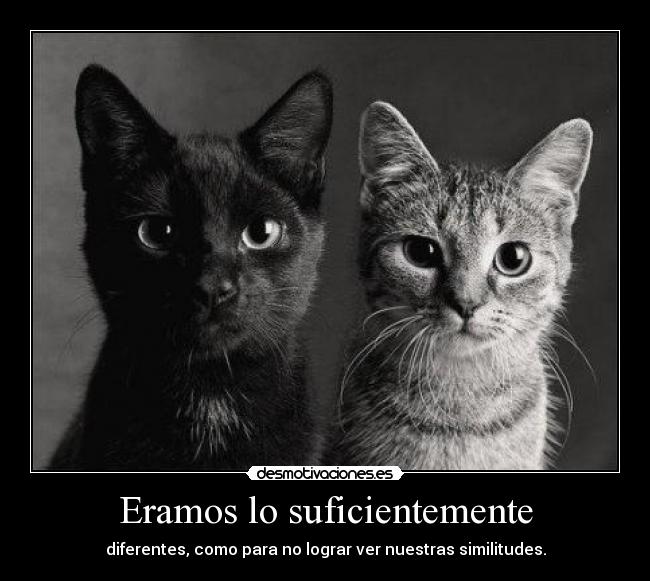 Eramos lo suficientemente - 