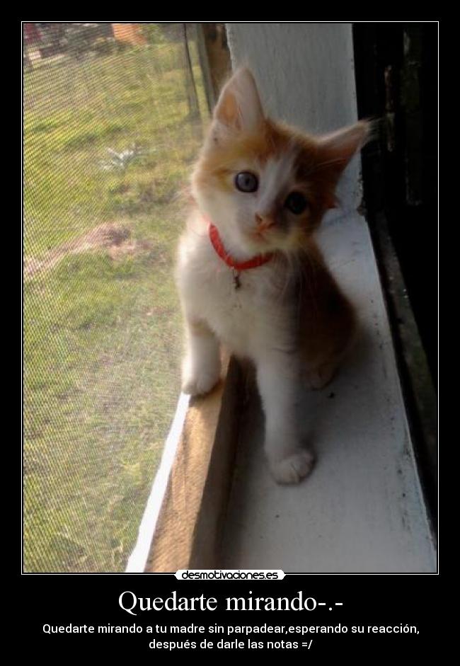 Quedarte mirando-.- - 