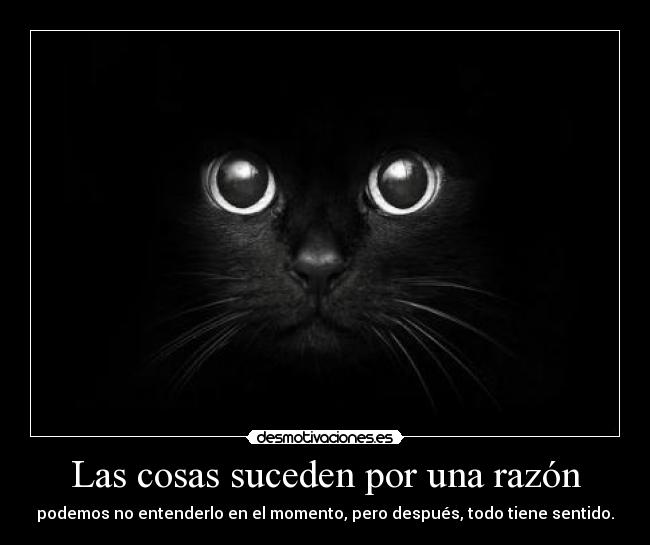 Las cosas suceden por una razón - podemos no entenderlo en el momento, pero después, todo tiene sentido.
