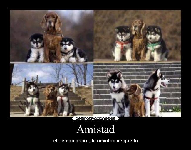 Amistad - 