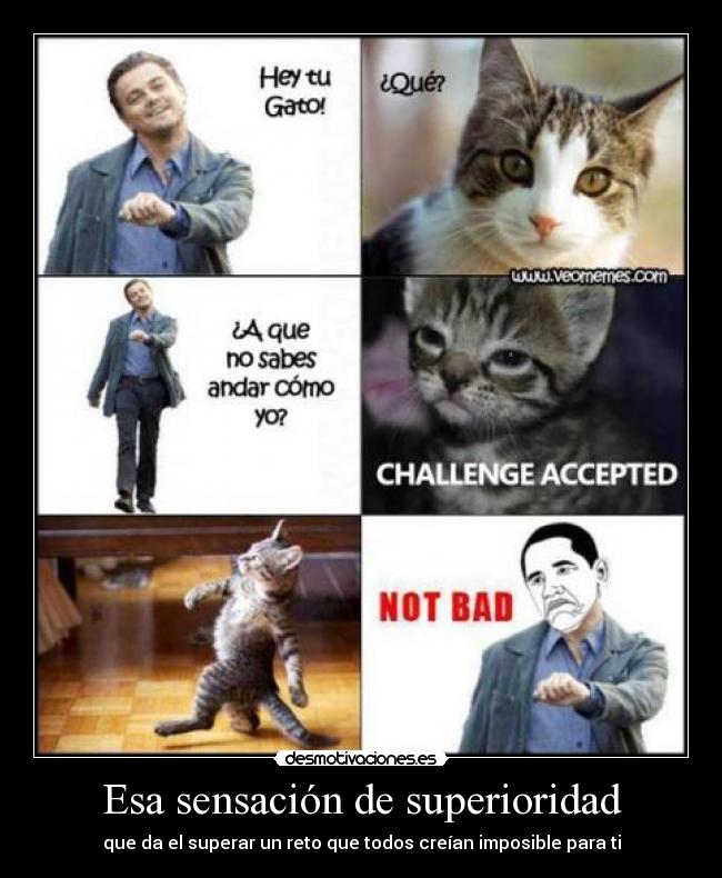 Esa sensación de superioridad - que da el superar un reto que todos creían imposible para ti