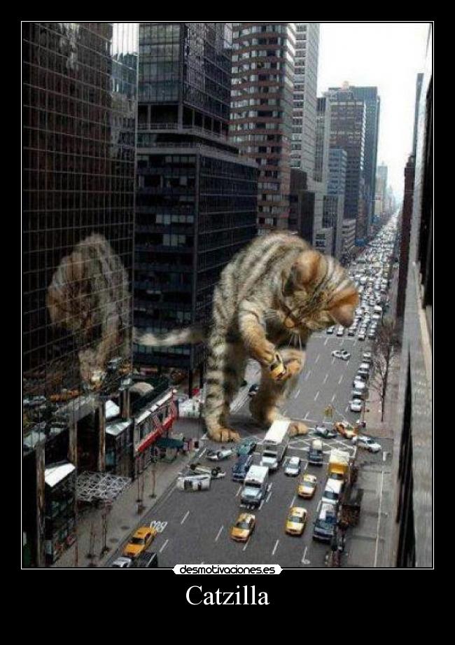 Catzilla - 