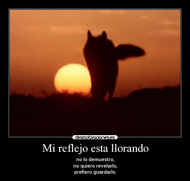 Mi reflejo esta llorando - no lo demuestro,
no quiero revelarlo,
prefiero guardarlo.