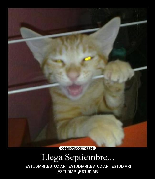 Llega Septiembre... - ¡ESTUDIAR! ¡ESTUDIAR! ¡ESTUDIAR! ¡ESTUDIAR! ¡ESTUDIAR!
¡ESTUDIAR! ¡ESTUDIAR!