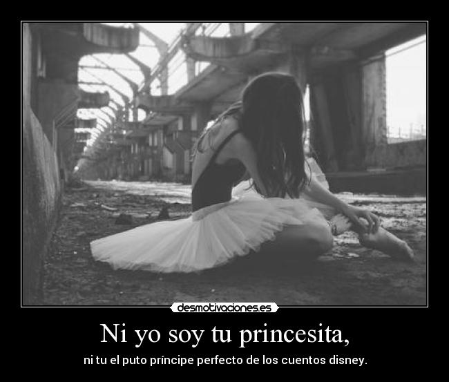 Ni yo soy tu princesita, - ni tu el puto príncipe perfecto de los cuentos disney.