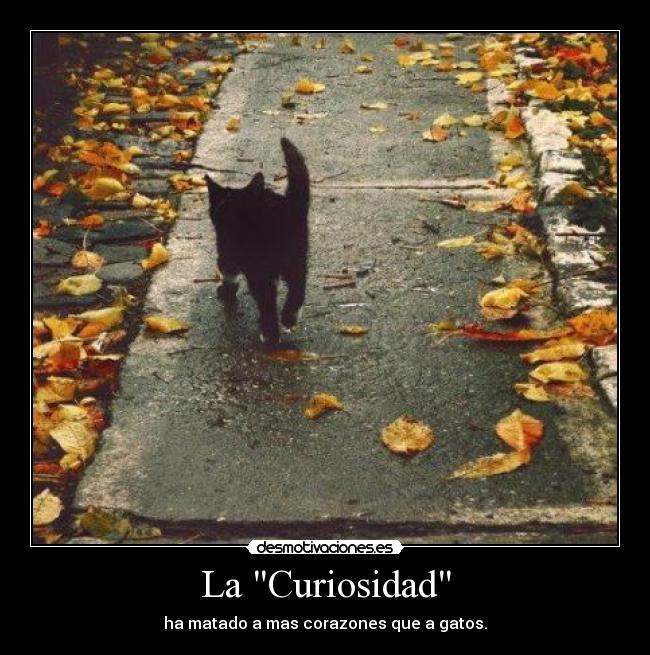 La Curiosidad - 