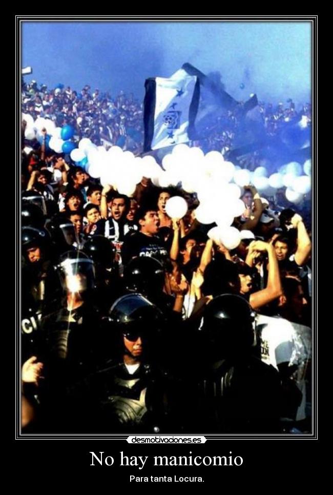 No hay manicomio - Para tanta Locura.