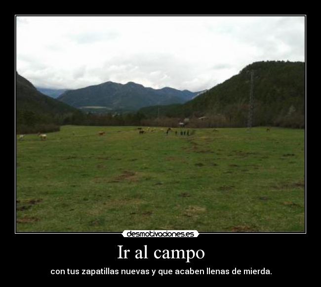 Ir al campo - 