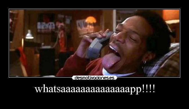 whatsaaaaaaaaaaaaaapp!!!! - 