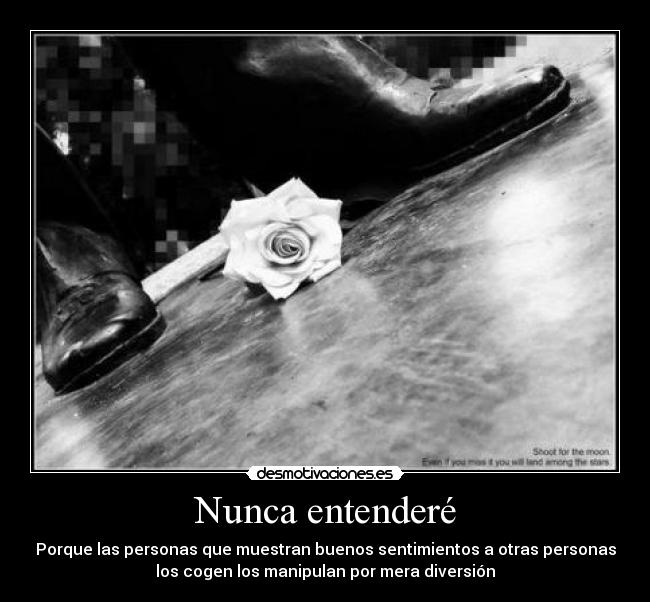 Nunca entenderé - Porque las personas que muestran buenos sentimientos a otras personas
los cogen los manipulan por mera diversión