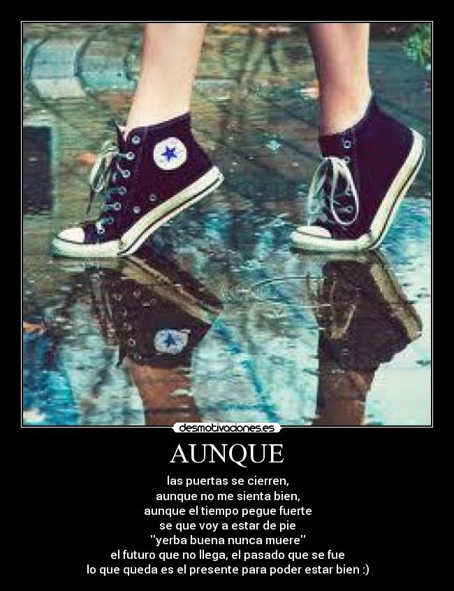 carteles campeones vida desmotivaciones